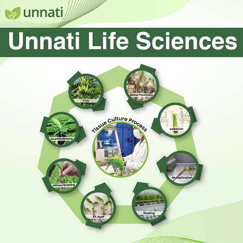 UNNATI LIFE SCIENCNES (LABEL) trademark artwork