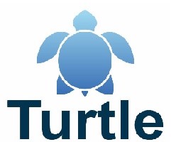 TURTLE trademark artwork