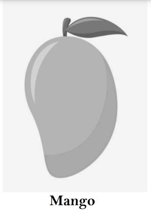 MANGO trademark artwork