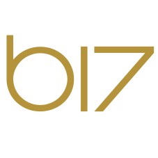 b17 trademark artwork