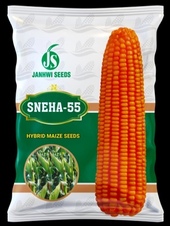 SNEHA-55 trademark artwork