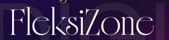 FLEKSIZONE trademark artwork