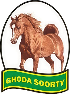 GH0DA SOORTY [with the device] trademark artwork