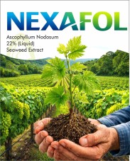 Nexafol trademark artwork