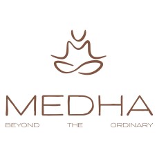 MEDHA trademark artwork