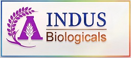 INDUS BIOLOGICALS trademark artwork