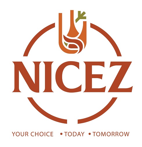 NICEZ trademark artwork
