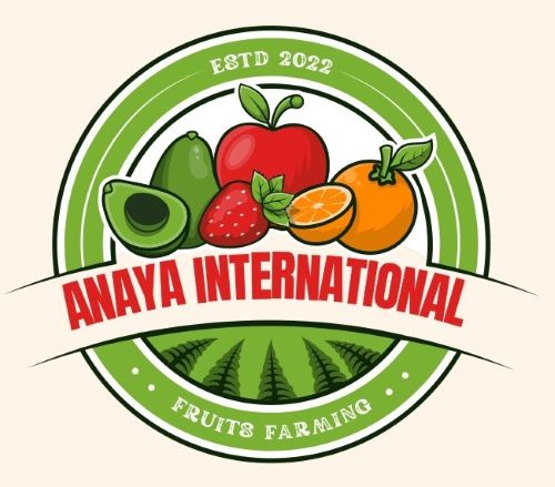 ANAYA INTERNATIONAL trademark artwork