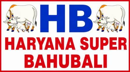 HB – HARYANA SUPER BAHUBALI trademark artwork
