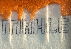 MAHLE trademark artwork