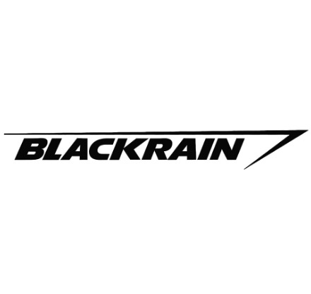 BLACKRAIN trademark artwork