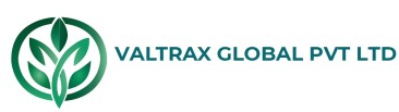 VALTRAX GLOBAL PVT LTD trademark artwork