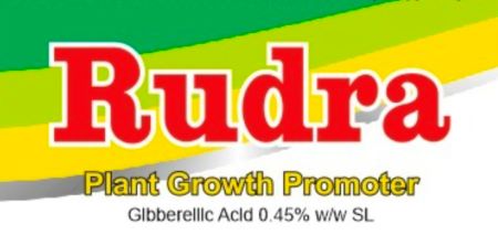 RUDRA (WITH DEVICE) trademark artwork