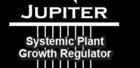 JUPITER (WITH DEVICE) trademark artwork