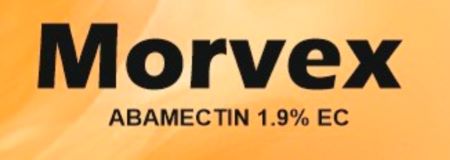 MORVEX (WITH DEVICE) trademark artwork