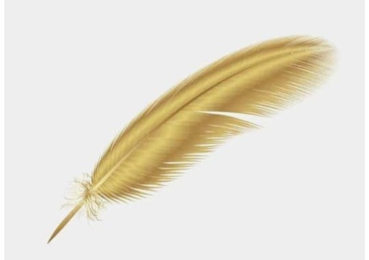 Feather Jewels trademark artwork