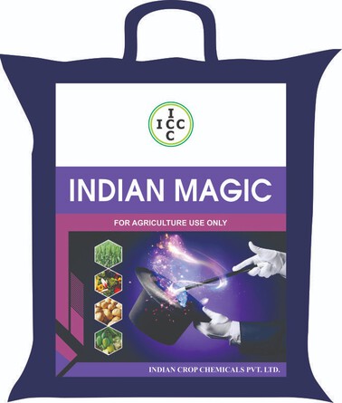 INDIAN MAGIC trademark artwork