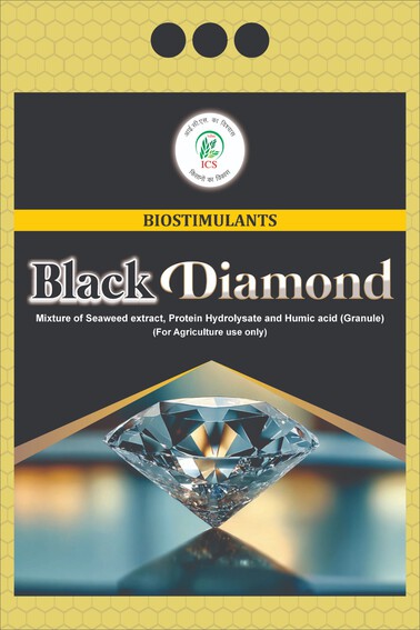 BLACK DIAMOND trademark artwork