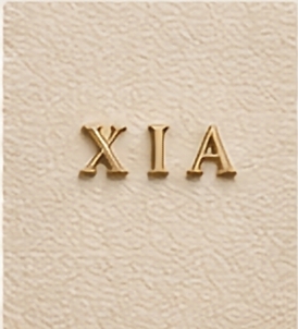 XIA trademark artwork