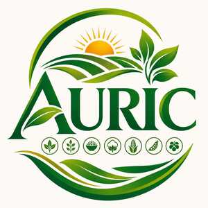 AURIC trademark artwork