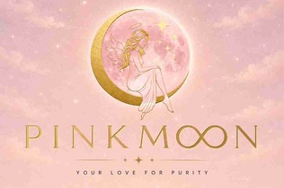 PINK MOON VIBES trademark artwork