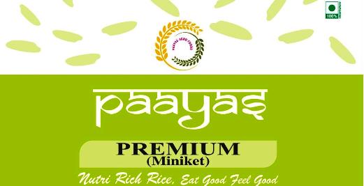 PAAYAS PREMIUM (MINIKET) trademark artwork