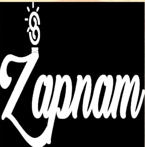 Zapnam trademark artwork