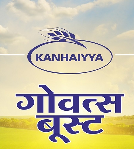 KANHAIYYA GAUVATSA BOOST trademark artwork