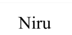 Niru trademark artwork