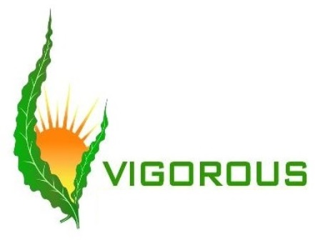 VIGOROUS trademark artwork