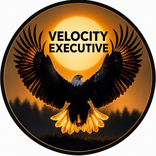 VELOCITY EXECUTIVE trademark artwork