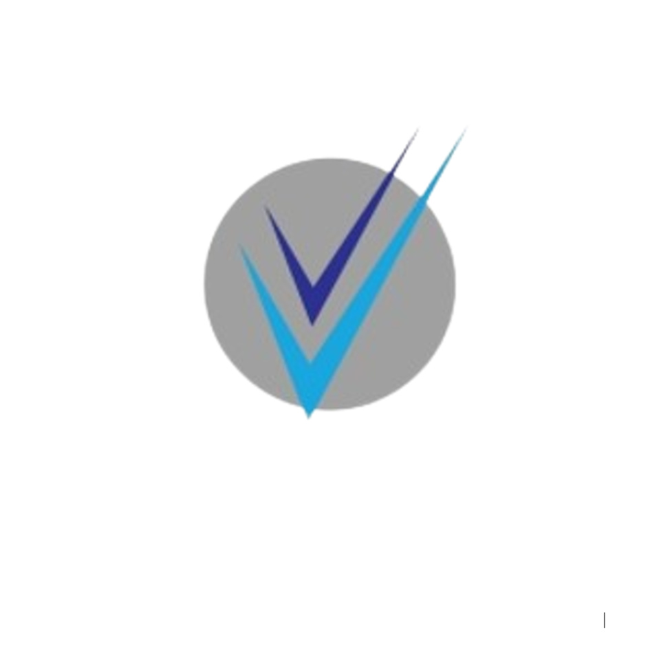 DEVICE OF VIVEK VIJAY AND COMPANY trademark artwork