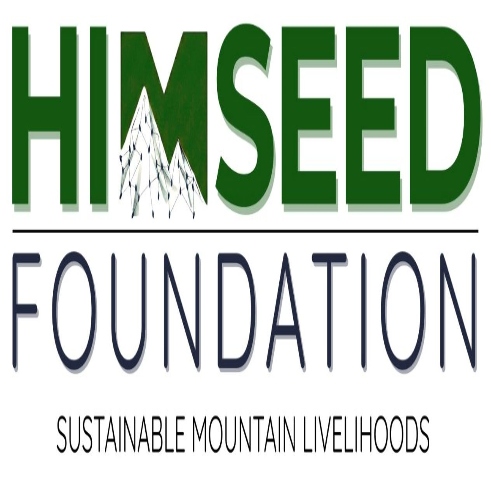 HIMSEED FOUNDATION trademark artwork