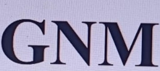 GNM trademark artwork