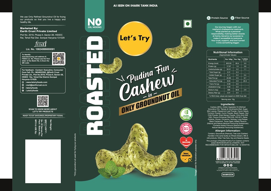 Let's Try ROASTED Pudina Fun Cashew trademark artwork