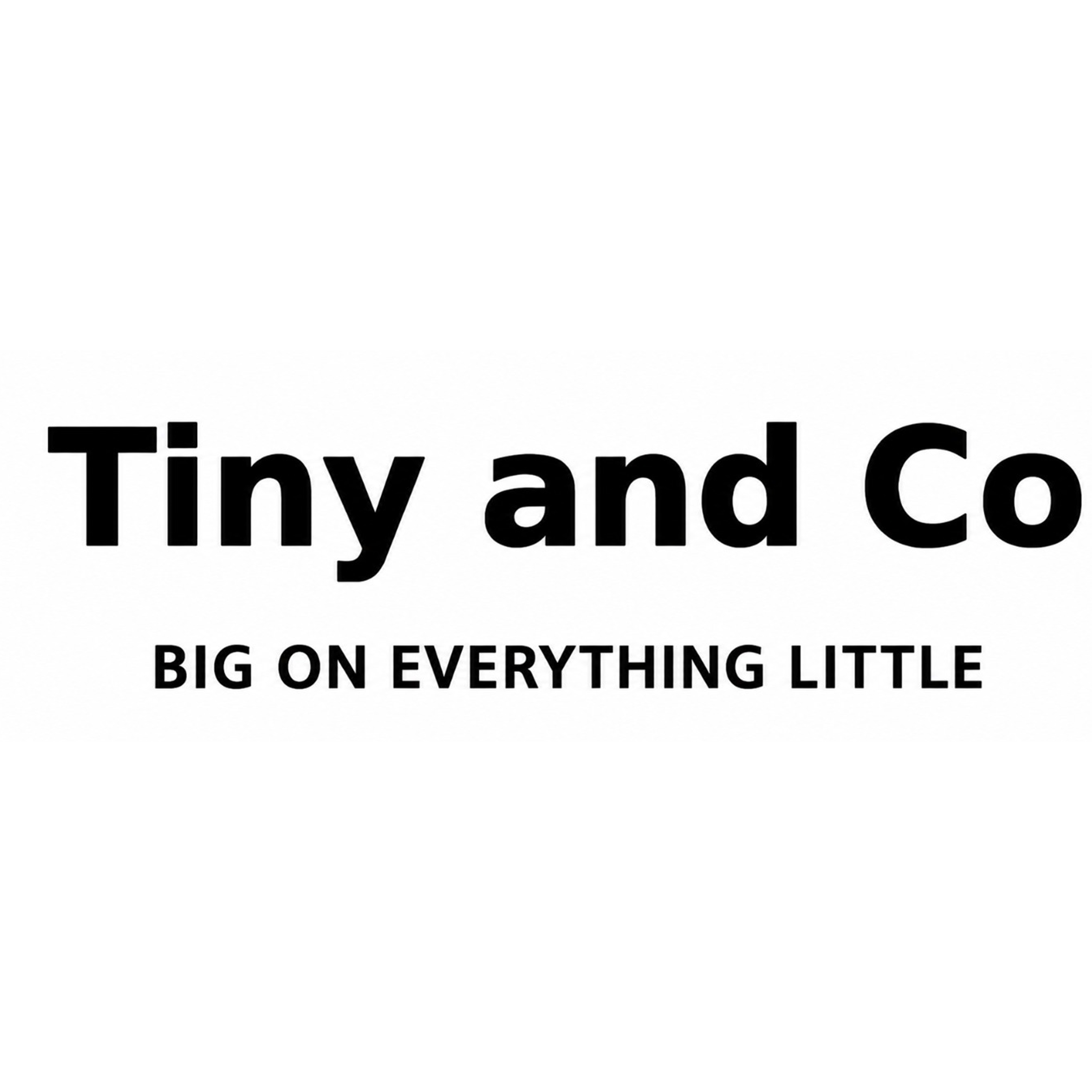 TINY and Co trademark artwork
