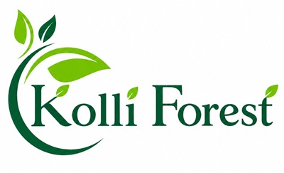 Kolli Forest trademark artwork