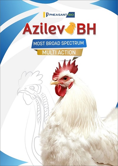Azilev BH trademark artwork