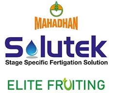 MAHADHAN SOLUTEK ELITE FRUITING trademark artwork