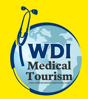 WDI MEDICAL TOURISM WWW.WELLNESSDESTINATIONINDIA.COM trademark artwork