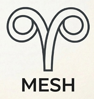 MESH trademark artwork