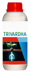 TRIVARDHA trademark artwork