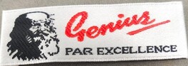 Genius PAR EXCELLENCE trademark artwork