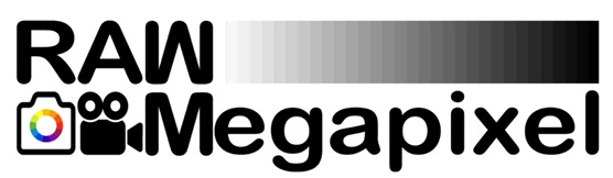 RAW MEGAPIXEL trademark artwork