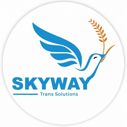 SKYWAY TRANS SOLUTIONS trademark artwork