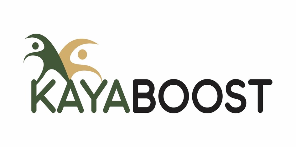 KAYABOOST trademark artwork