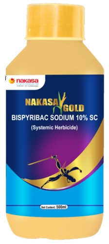 NAKASA GOLD trademark artwork