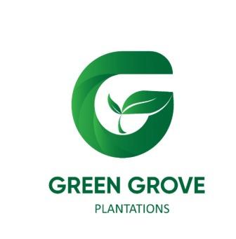 GREEN GROVE PLANTATIONS trademark artwork