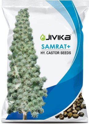 JIVIKA SAMRAT+(LABEL) trademark artwork