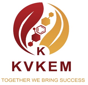 KVKEM TOGETHER WE BRING SUCCESS trademark artwork